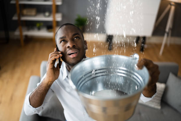 Best Flooded house restoration  in Burley, ID