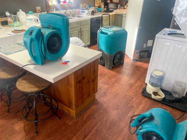 Best Carpet water damage restoration  in Burley, ID