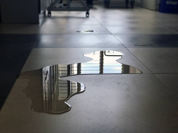Best Commercial water damage restoration  in Burley, ID
