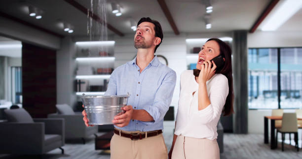 Best Flood damage cleanup  in Burley, ID